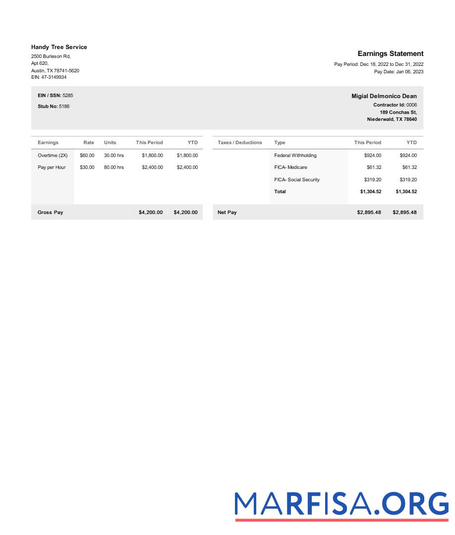 Realistic Handy Tree Service earnings statement example